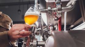 Los investigadores coinciden: los residuos del lúpulo al producir cerveza son ingredientes útiles para crear cremas solares