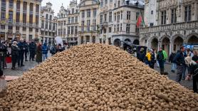 Europa tira millones de patatas mientras llegan las más baratas de China e India: los agricultores denuncian la competencia desleal que enfada al campo español