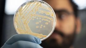 Esto también es ciencia: sacan levadura del estómago de Ötzi, la momia natural más antigua de Europa, y hacen pan con ella