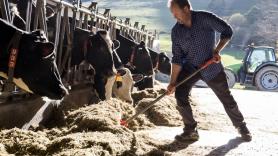 El clamor de un joven ganadero: "La paja ha subido un 38%, cuando desaparezca el campo veréis que baratos éramos los agricultores"