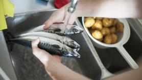 Ángel León (49 años), chef de Aponiente: "Nunca, pero nunca, hay que lavar el pescado con el agua del grifo"