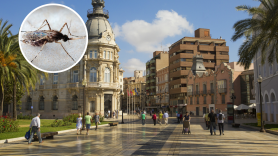 Cartagena refuerza el control de plagas con cañones robotizados tras un invierno muy lluvioso: así actúa contra mosquitos y bichos bola