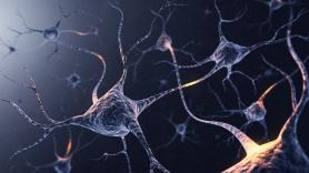 Pocos lo saben, pero el cuerpo humano produce electricidad suficiente para activar pequeñas células nerviosas constantemente