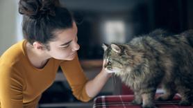 Nicole, etóloga felina: "Si ves todas estas señales en tu gato no tienes que forzarlo o acariciarlo, solo acompañarlo con calma"