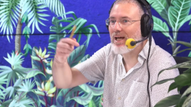 Eduardo Barba, jardinero: "Haz fotos a tus plantas con el móvil; el antes y el después delata al instante si las estás cuidando bien"