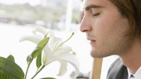 Albert Xamena, bioquímico: "Si duermes con flores de lavanda al lado, puedes reducir muchísimo la activación del sistema nervioso simpático"