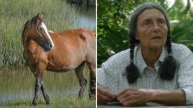 Carol, 84 años, lleva 53 años viviendo de la tierra en una isla sin tiendas ni carreteras: "No salgo a cazar, pero si algo se mete en mi huerto, me lo como"