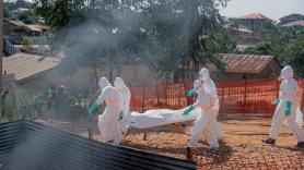 Francia detecta el primer caso de ébola en el país: su estado es favorable