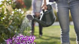 Adiós a la regadera de toda la vida: un método de 4.000 años de antigüedad ahorra un 70% de agua
