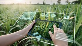 El 40% de las plantas estudiadas está en riesgo de extinción y 100.000 ni siquiera tienen nombre: la IA acelera ahora la carrera por salvarlas