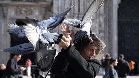 Robert Lambert, historiador ambiental, sobre por qué cada vez más pájaros atacan a personas en las calles: "El problema es el comportamiento humano"