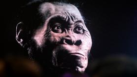Lee Berger, el paleoantropólogo de la misteriosa cueva de Sudáfrica con esqueletos solo de hembras: "Es nuestro primer contacto con una especie no humana; sus cerebros no son cerebros humanos"