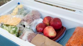 "Pensé que estaba haciendo lo correcto": Por qué colocar las bolsas de hielo en el fondo de la nevera portátil hace que la comida se derrita el doble de rápido