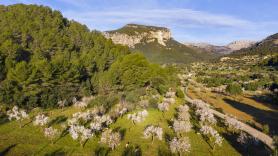 "Encanto auténtico, lejos del turismo de masas": así vende la prensa alemana los rincones de Mallorca que muchos locales querrían proteger