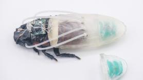 Un 'traje de buceo' impreso en 3D permite que las cucarachas cíborg controladas a distancia respiren bajo el agua