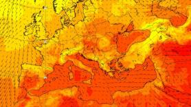 Los océanos y mares están cada vez más calientes y antes de tiempo; y sí, todo tiene que ver con el cambio climático