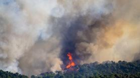 Las llamas arrasan más de 2.300 hectáreas en La Bisbal (Girona) y el incendio ya está estabilizado en un 70%