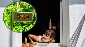 ¿Abrir las ventanas por la noche durante una ola de calor? Los expertos explican por qué eso, en realidad, calienta la casa