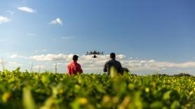 Drones a 42 grados sobre los campos de Lleida: no vigilan a los temporeros, sino que los jefes cumplan con el agua, la sombra y las pausas