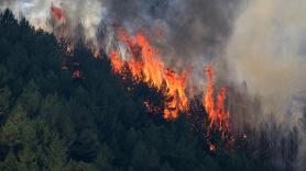Marc Castellnou, bombero forestal: "No es un tema de recursos, sino de bosques estresados. La capacidad de incendios supera la capacidad de extinción"