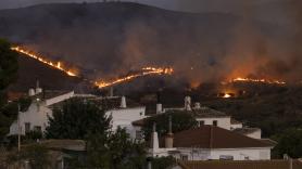 Víctor Resco, experto forestal: "⁠Tenemos mapas de zonas inundables, pero no de zonas inflamables. La gente no sabe sin van a veranear en una ratonera"