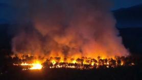 El incendio de Aiguamúrcia (Tarragona) obliga a desalojar cuatro urbanizaciones y al envío del ES-Alert