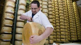 Ansiedad por el queso en Italia: "No queremos ser la última generación en comer parmesano"