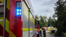 Unos bomberos reaniman con oxígeno a una paloma tras un incendio: "Seguiré pagando impuestos con gusto si se usan para esto"