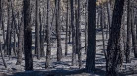Los evacuados por el incendio de Guadalajara esperan con incertidumbre en Humanes: "Hay mucho humo, miedo y estrés"