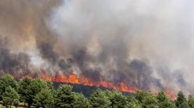 El incendio de Guadalajara se acerca a las 32.000 hectáreas afectadas y ya es el segundo por superficie quemada de la serie histórica