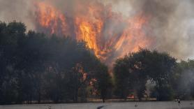 El Gobierno declara la emergencia nacional en Madrid y Ávila por los incendios y pone a la UME al mando de la operación