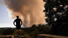 Incendios y emergencia nacional, en directo: última hora de los fuegos activos en Madrid, Ávila y el resto de España