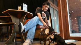 Hong Kong cambia las normas: permitidos los perros en los restaurantes, pueden estar con sus dueños (pero no figuran en el menú)