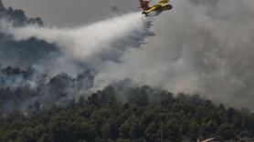 El incendio de Ávila ya es el mayor de la historia reciente de España: 50.000 hectáreas calcinadas y más de 153.000 arrasadas este año