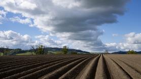 Un agricultor entierra dos calzoncillos idénticos de algodón en su granja y demuestra que el suelo sano no es el que los conserva, sino el que se los come, lo que es más positivo para los ecosistemas