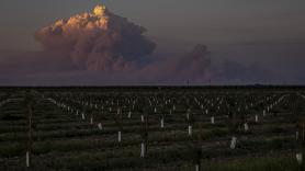 Las 'nubes de fuego' empeoran los incendios forestales en Europa: suben 15 kilómetros, atraviesan la estratosfera y lanzan rayos que encienden nuevos focos