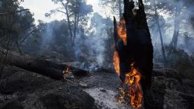 Vuelve el bulo de que no se pueden limpiar los montes: esto es lo que dice la ley
