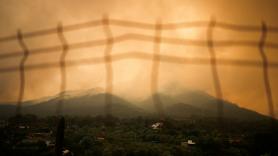 Incendios forestales en Madrid, Toledo, Ávila y el resto de España, en directo: focos activos y zonas afectadas