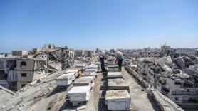 Ibrahim, apicultor en Gaza, perdió 400 colmenas y empezó de nuevo con 3 en una azotea: "Las abejas son como la gente de aquí: siempre encuentran el camino de vuelta"