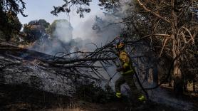 Un ingeniero agrónomo plantea un método "que podemos abordar incluso los vecinos" para evitar lo que ha ocurrido con los últimos incendios