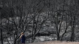 Los incendios dan un respiro en España, pero el riesgo sigue muy alto: mejoran Zamora, Madrid y Castellón mientras surgen nuevos focos