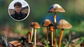 Un joven llena su habitación de excrementos para grabar los hongos que crecen en ellos: "Tengo un compañero de piso muy comprensivo"