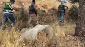 Una sala con plásticos, un cráneo en una arqueta y 'Dexter' como manual: el crimen del confinamiento que convulsiona Málaga