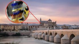 Pocos lo saben pero el creador del bolígrafo Bic llegó con 5 años a un pueblo minero de Córdoba: aprendió español mientras su padre construía "inventos imposibles"