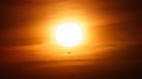 La ciencia ya estudia cómo el eclipse solar afectará a pájaros y murciélagos y puedes participar en la investigación: "Escuchar la fauna antes, durante y después"