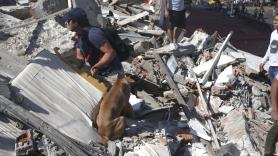 Al menos 20 muertos en Colombia por un fuerte terremoto de 7'4 grados: qué se sabe por el momento