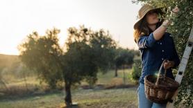 Una joven siciliana deja su trabajo para dedicarse al olivar de su familia: "Organizamos nuestro primer evento de pago y vinieron cinco personas"