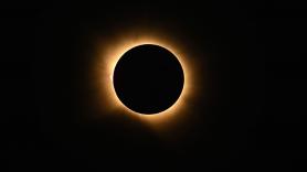Colocaron acelerómetros a 33 animales durante el eclipse del 12 de agosto y ninguna especie reaccionó igual: las gallinas adelantaron 18 minutos su hora de recogerse