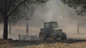 Mejora el fuego de Niebla pero sigue sin control ni perímetro y afecta ya a 25.000 hectáreas