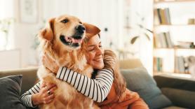 La ciencia confirma lo que se sospechaba: los perros son capaces de detectar y distinguir emociones humanas como el miedo o la tristeza